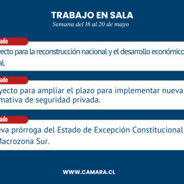 Lamina-resumen-de-la-Sala.png Sala despachó esta semana proyecto de reconstrucción nacional