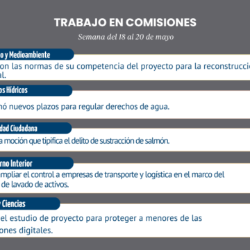 Laminas-Resumen-de-Comisiones-WEB-1.png Comisiones de la Cámara revisaron proyecto de reconstrucción