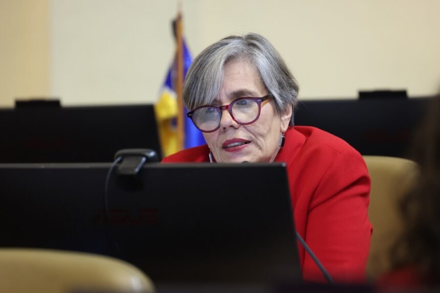 Dip.-Lorena-Fries.jpeg A ley prohibición de porte de armas a procesados o condenados por VIF