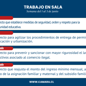 Lamina-resumen-del-trabajo-de-la-Sala.png Dos nuevas leyes y otros dos proyectos despachados esta semana por la Sala