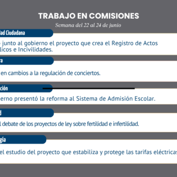 Lamina-web-comisiones.png Comisiones de la Cámara revisaron seguridad, educación y tarifas eléctricas