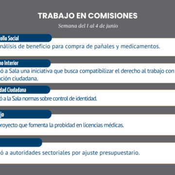 Resumen-de-Comisiones-WEB.png Comisiones avanzan en empleo y seguridad