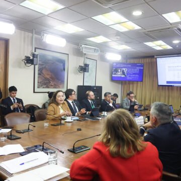 Comision-de-Mineria-1.jpg “Tierras raras” en estudio en la Comisión de Minería