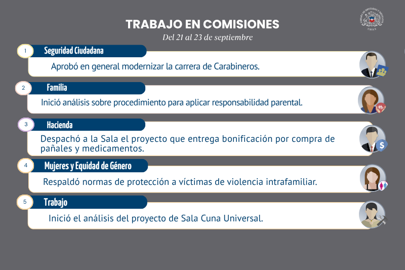 Laminas-Resumen-de-Comisiones-WEB-4.png Comisiones de la Cámara: seguridad, cuidados y empleo
